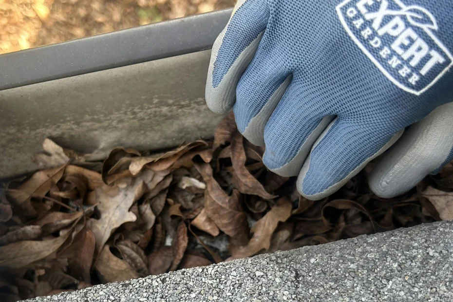 Gutter Cleaning Lawrenceville PA